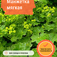 Манжетка мягкая