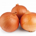 Лук Репчатый Шетана